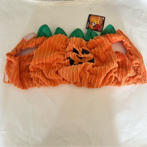 Petco Small Dog Green & Orange Pumpkin Costume - Picture 4 of 8